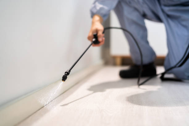 Rodent Entry Point Assessment in Wheaton