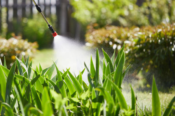 Tamper-Resistant Bait Stations for Rodents in Wheaton
