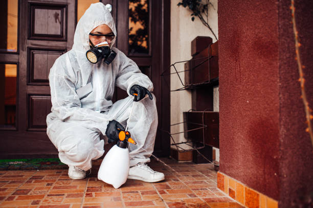 Attic and Crawl Space Rodent Treatment in Wheaton