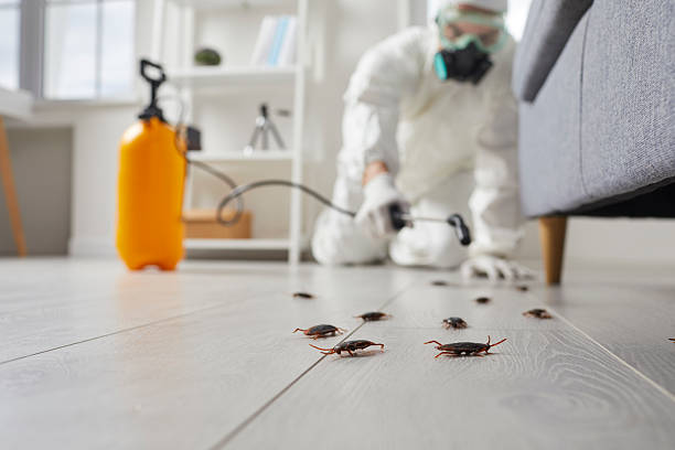 Commercial Rodent Management in Wheaton